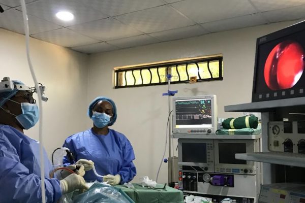 Endoscopic ENT Surgery